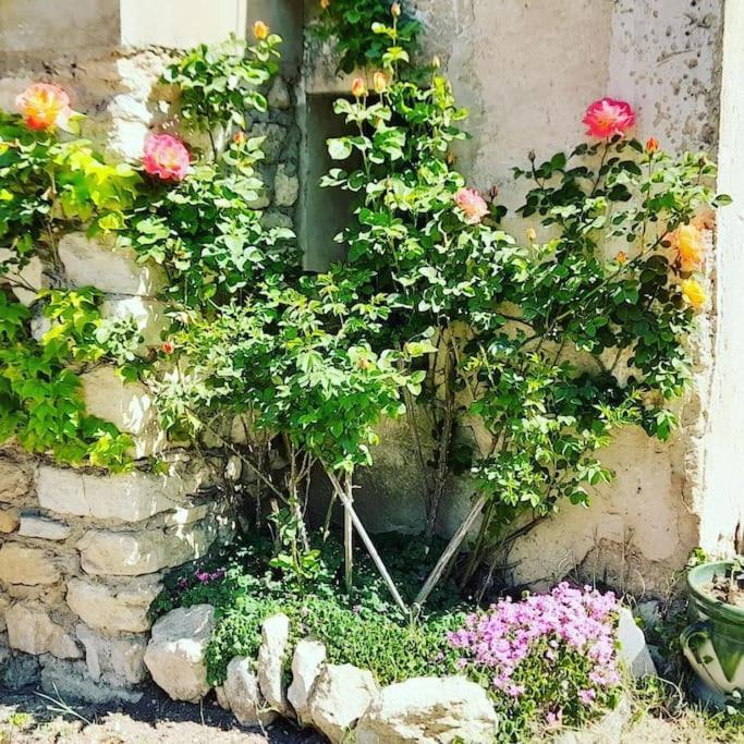 Chambre D'Hotes Manon - Domaine Les Peupliers - Lagnes ภายนอก รูปภาพ