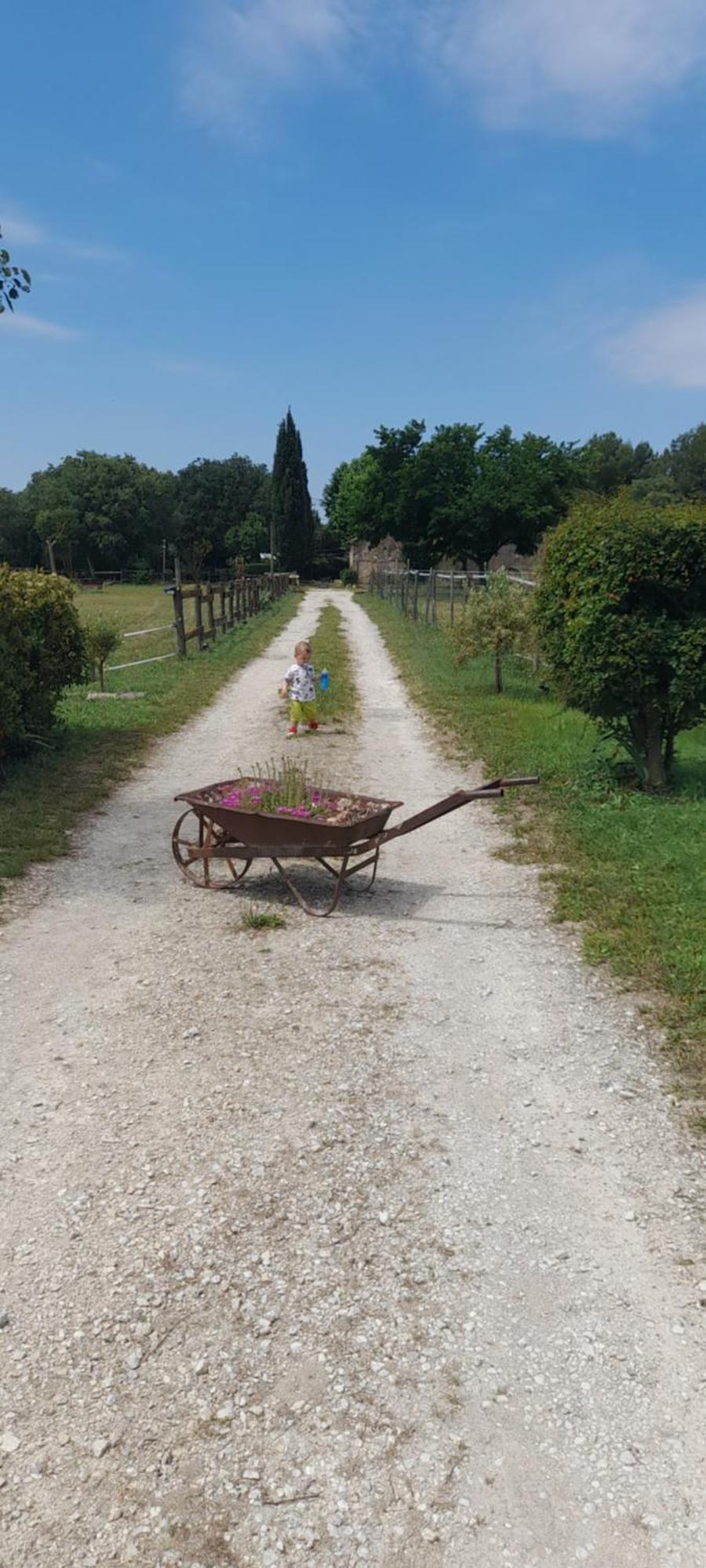 Chambre D'Hotes Manon - Domaine Les Peupliers - Lagnes ห้อง รูปภาพ